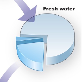 Earth's water pie chart 