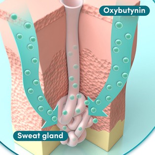 Oxybutynin sweat gland 