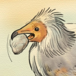 Vulture sketch 