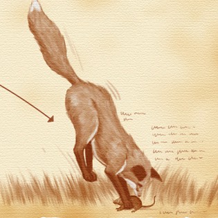 Fox sketch 